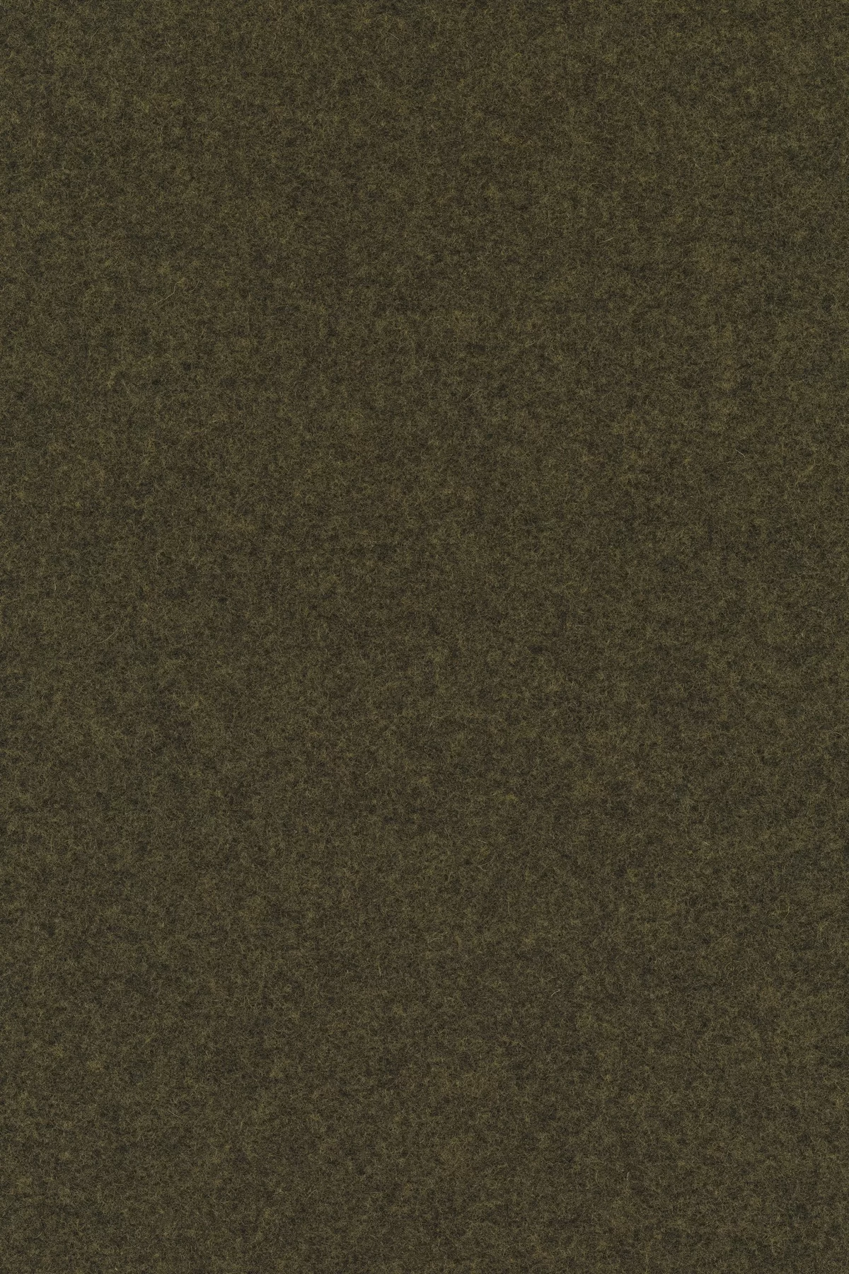 Divina melange 3, 467